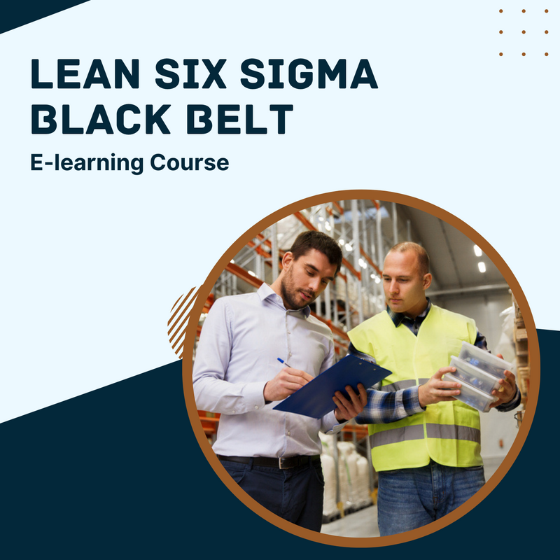 Lean Six Sigma Black Belt