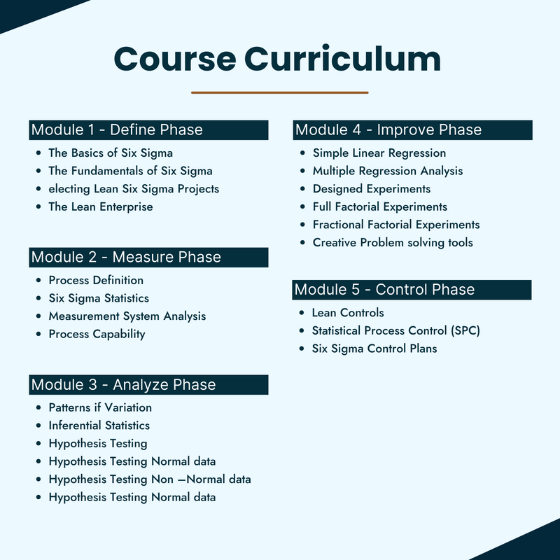 Lean Six Sigma Black Belt