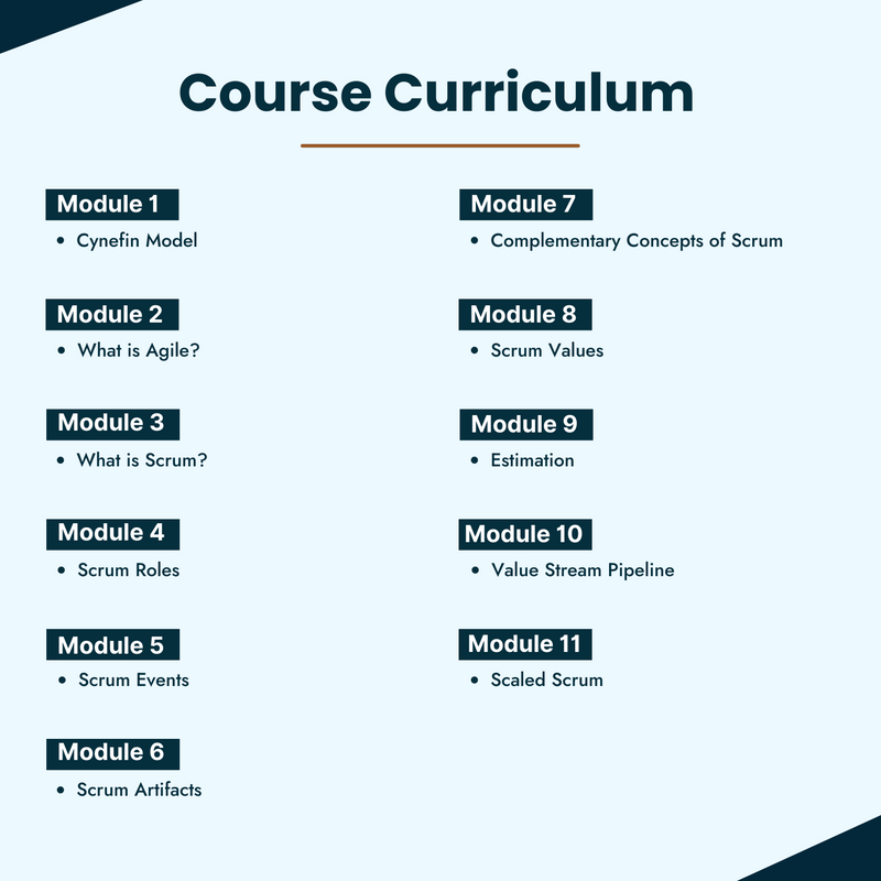 Scrum Master Professional Prep Course (PSM -1)